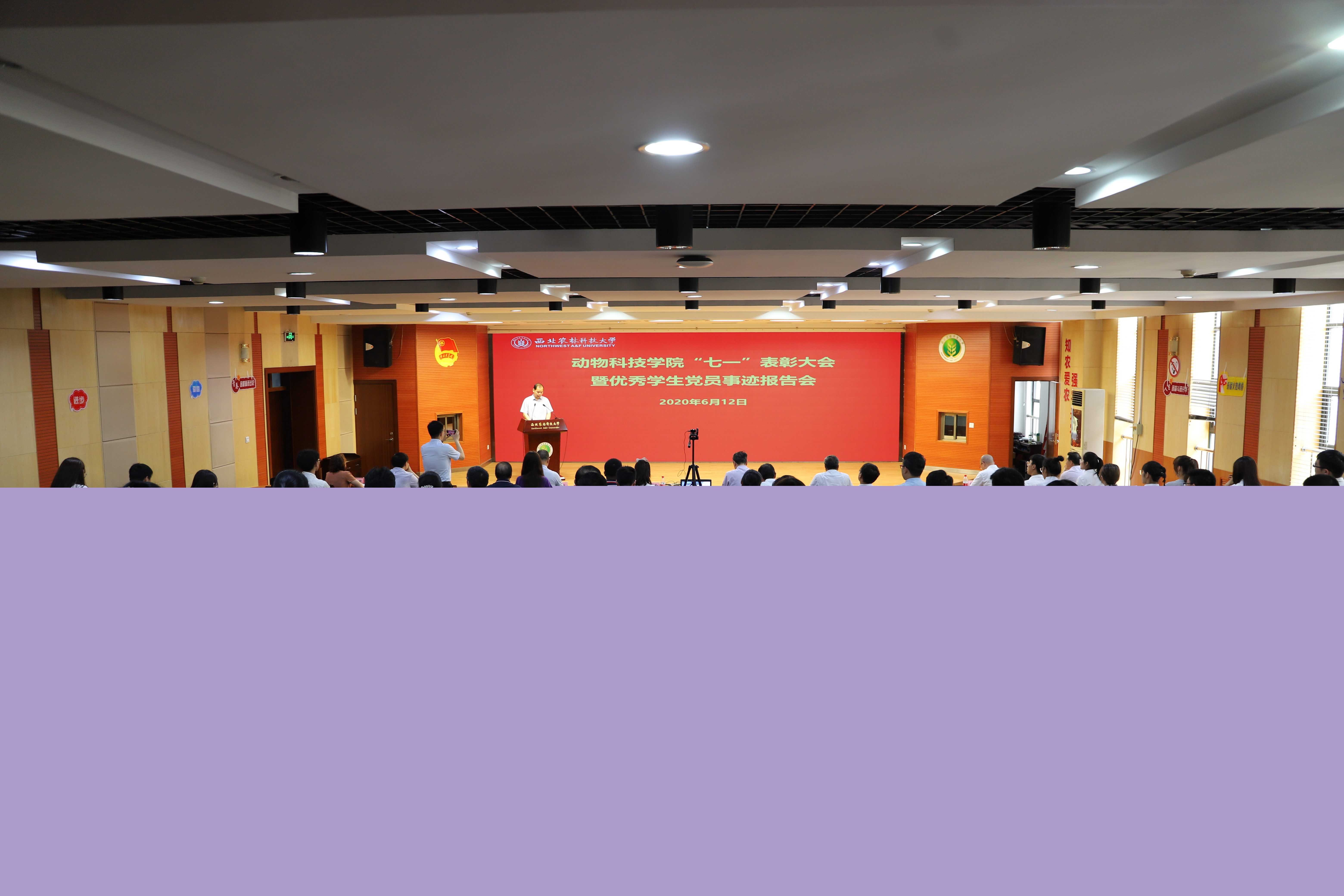 d3f6ccc3266446c0977083c0b8e76f84.jpg