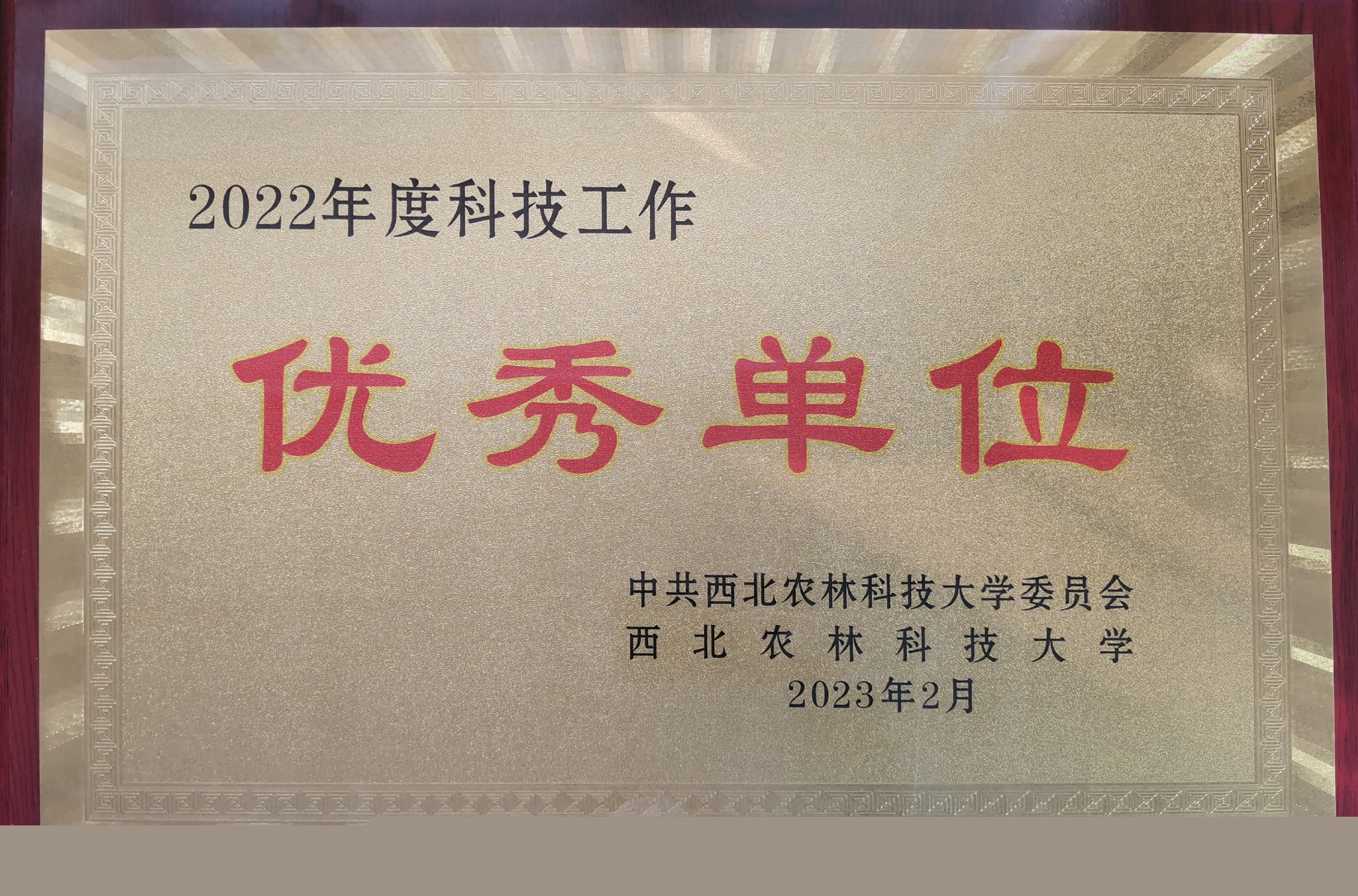 ec6f9e1cef3849ebab52ab2e69644f05.jpg