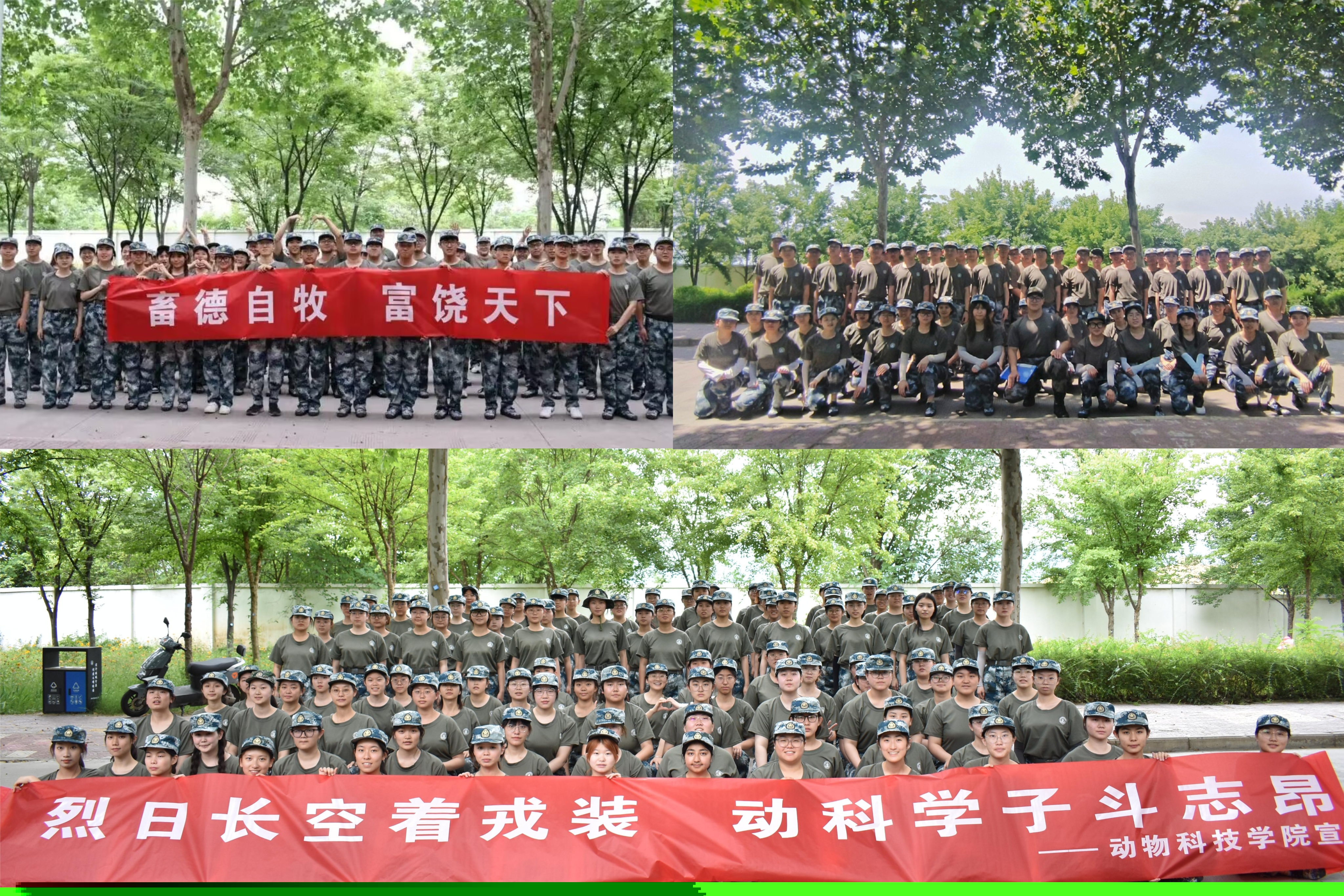68bb5770cb3248e9b5a61b1df47c1e2d.jpg
