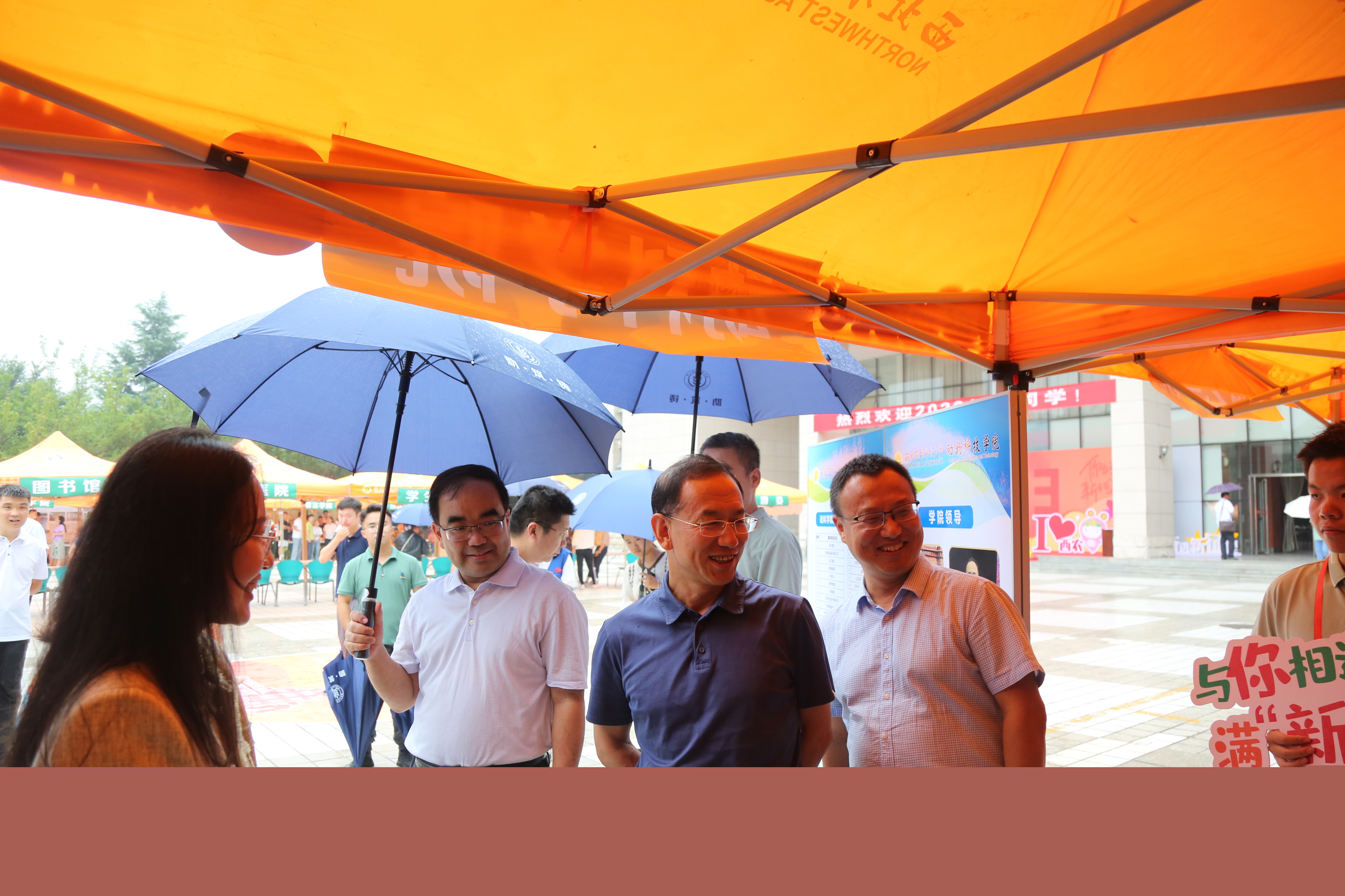 d6a098741b344ae9b2c7faef4aae011f.jpg