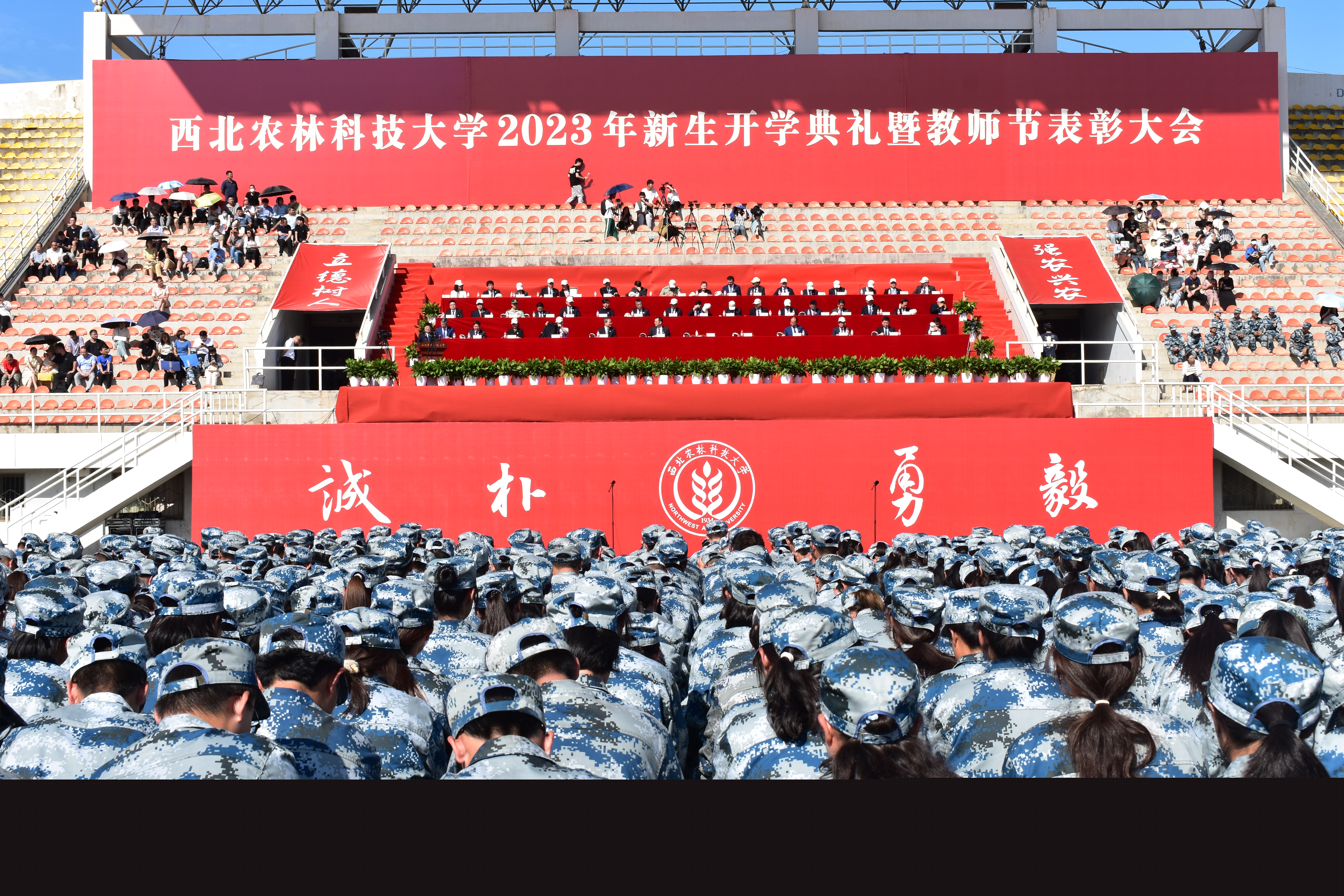553b18a12b5847a29c8e6cb9924e279a.jpg