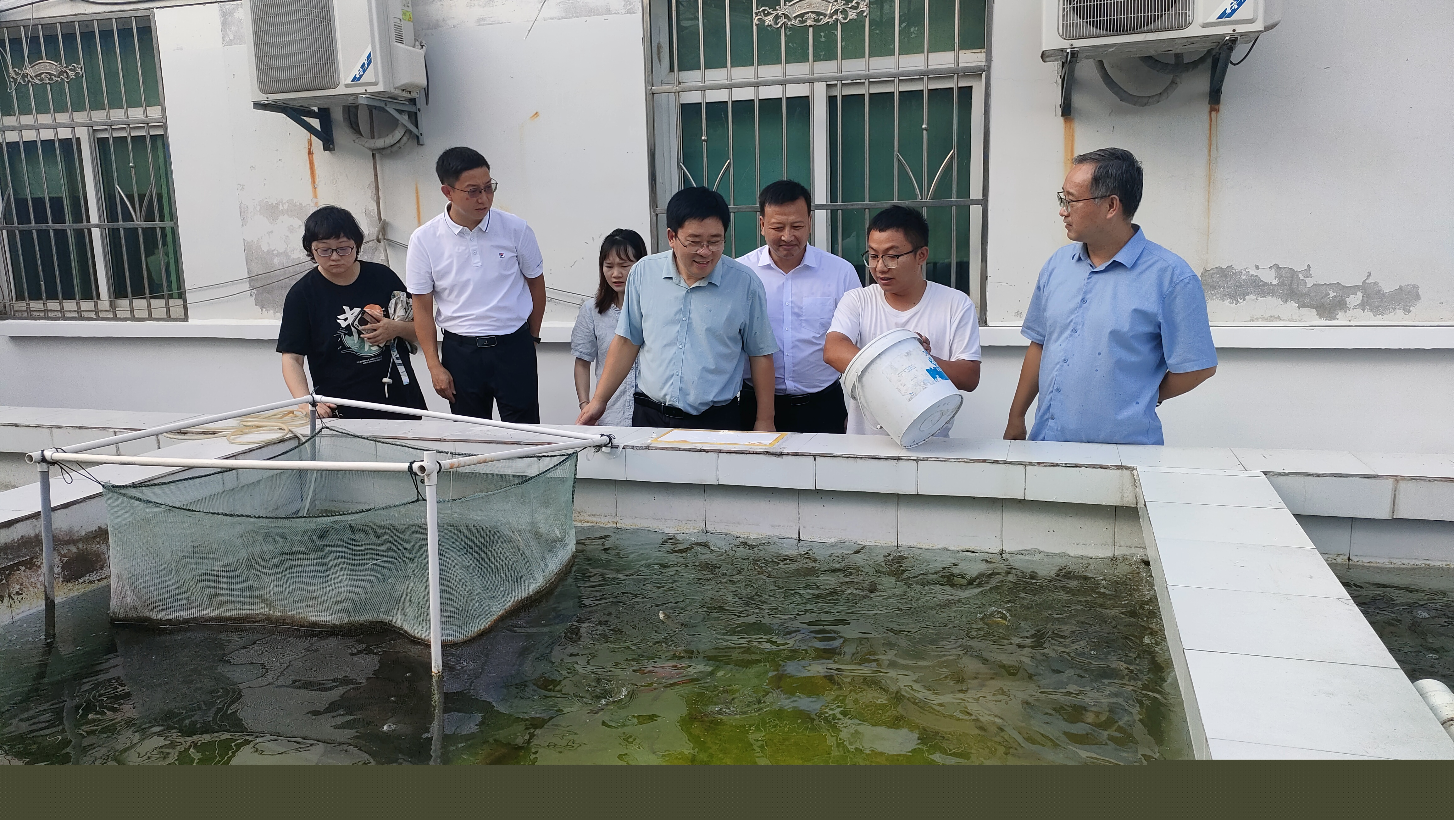 参观秦巴土著鱼类多鳞白甲鱼.jpg