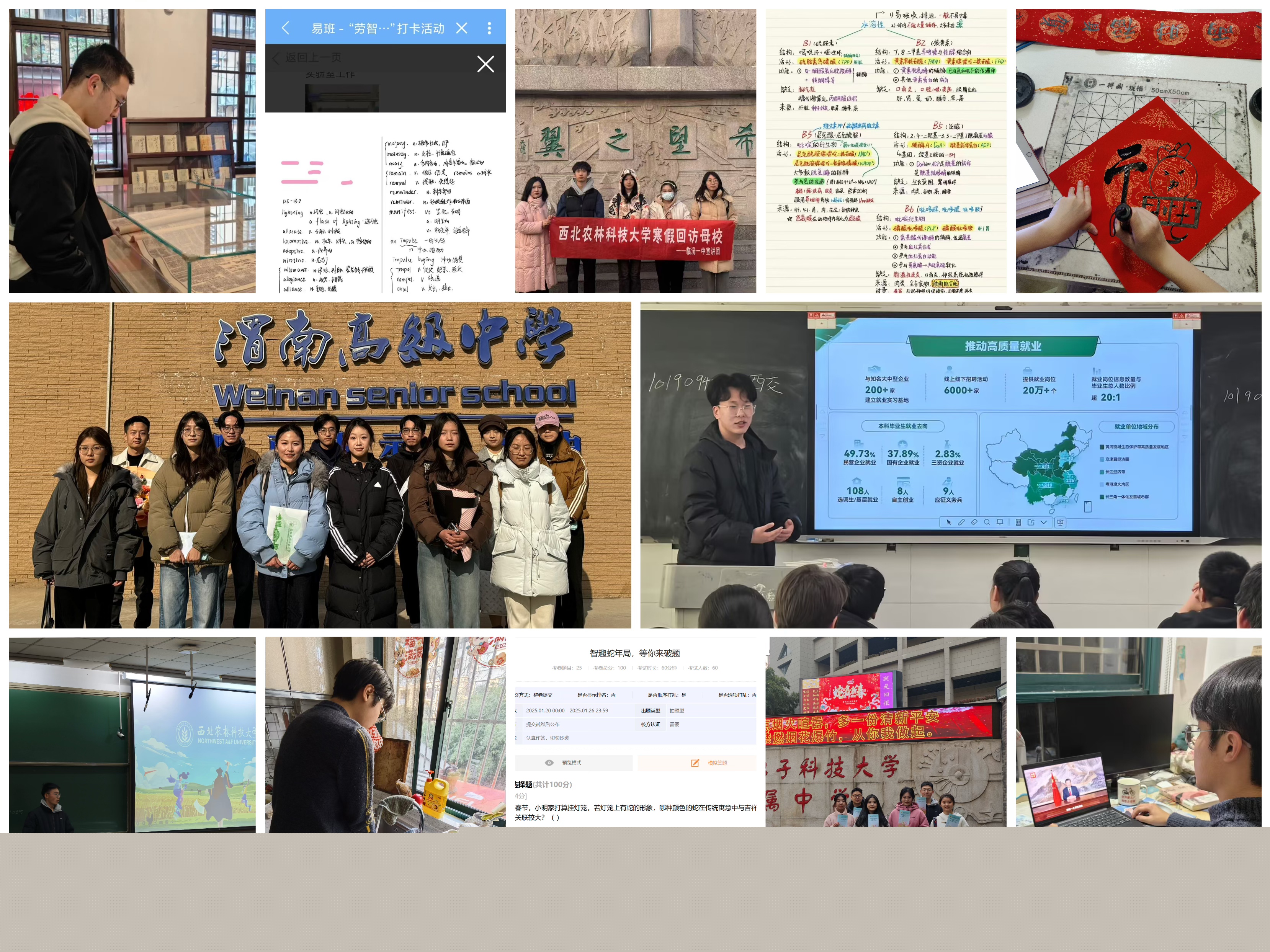 寒假“五育”并举系列主题教育活动.jpg